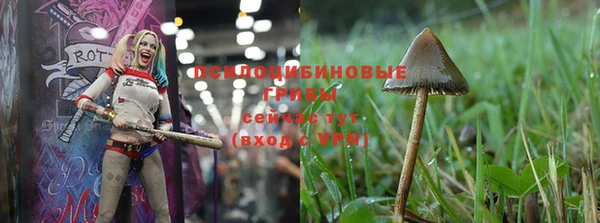 гашишное масло Бородино