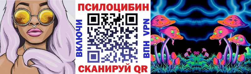 где купить наркоту  мега ссылки  Псилоцибиновые грибы прущие грибы  Кирово-Чепецк 