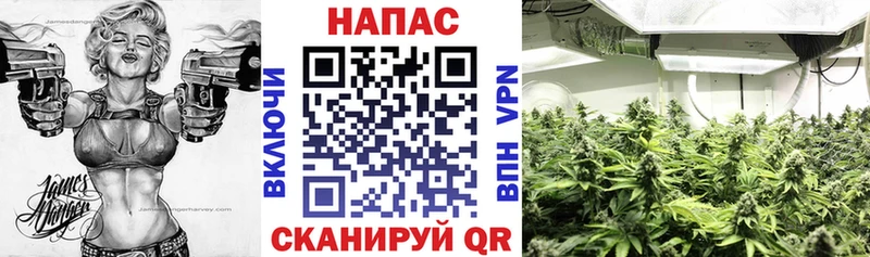МАРИХУАНА ГИДРОПОН  это формула  Кирово-Чепецк 